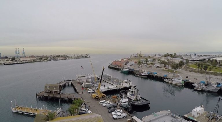 jankovich2 1 768x421